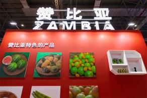 进博会国家展延展