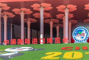 进博会国家展延展