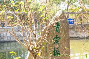 南汇桃花村
