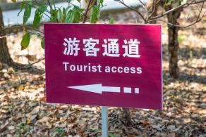 南汇桃花村