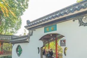 南汇桃花村