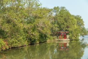 南汇桃花村