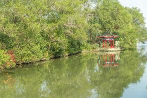 南汇桃花村