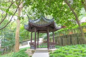 佘山森林公园