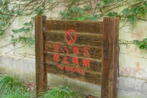 佘山森林公园