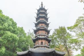 佘山森林公园