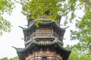 佘山森林公园