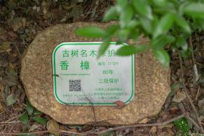 佘山森林公园