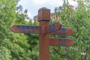莘庄梅园