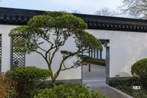 闸北公园