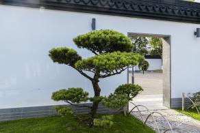 闸北公园