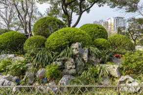 闸北公园