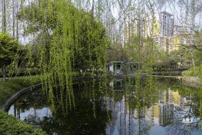闸北公园