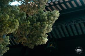 桂林公园