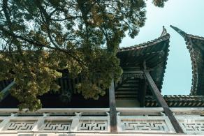 桂林公园