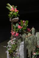 花卉博览会