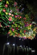 花卉博览会