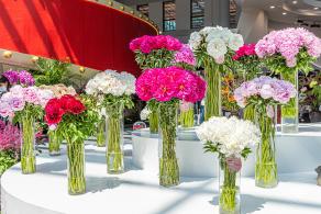 花卉博览会