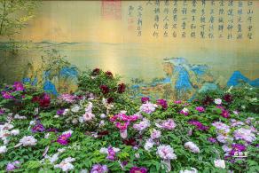 花卉博览会