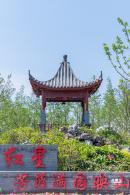 花卉博览会