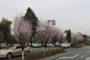 贵阳青岩古镇