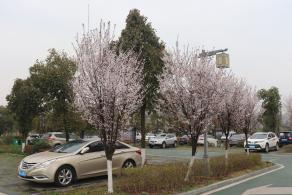 贵阳青岩古镇