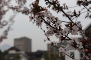 贵阳青岩古镇