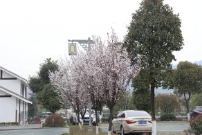 贵阳青岩古镇