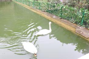 贵阳黔灵山公园