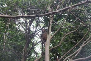 贵阳黔灵山公园