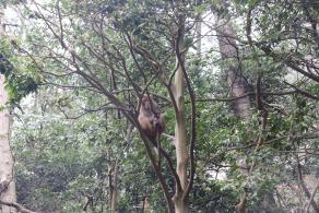 贵阳黔灵山公园