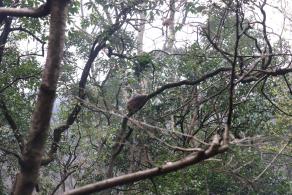 贵阳黔灵山公园