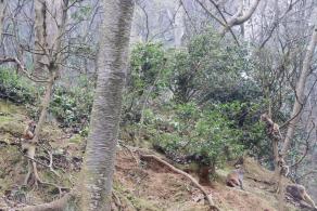 贵阳黔灵山公园