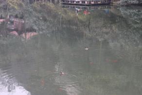 贵阳黔灵山公园