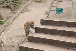 贵阳黔灵山公园