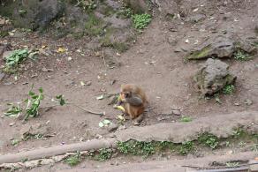 贵阳黔灵山公园