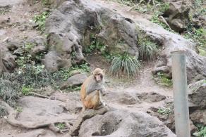 贵阳黔灵山公园