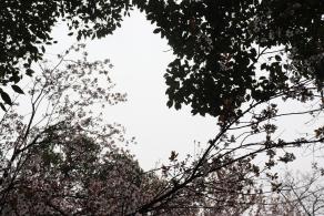 贵阳黔灵山公园