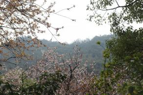 贵阳黔灵山公园