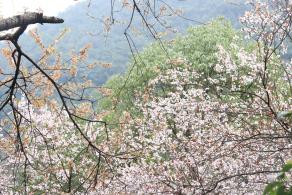 贵阳黔灵山公园