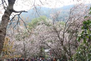 贵阳黔灵山公园