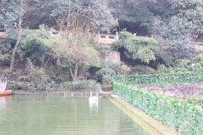 贵阳黔灵山公园