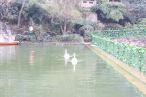 贵阳黔灵山公园