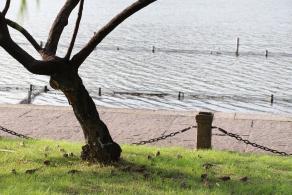 杭州西湖白堤