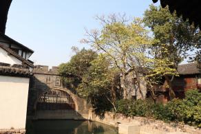 嘉兴乌镇西栅