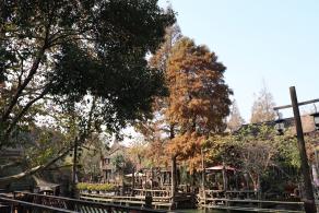 嘉兴乌镇西栅