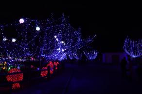 杭州江月园国际灯会