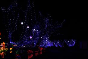 杭州江月园国际灯会