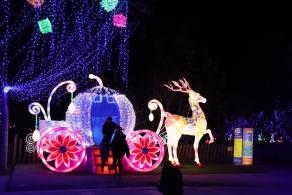 杭州江月园国际灯会