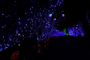 杭州江月园国际灯会